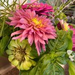 Stefanie Lawson - @petalpageandpen - Instagram