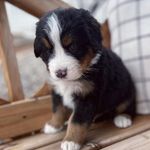 Stefanie Long - @longlovedberners - Instagram