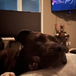 Stefanielynch - @stefanielynch02 - Instagram