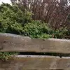Stefanie Mack - @stefanie.mack3 - TikTok