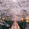 Stephanie McCabe - @stephanie.mccabe - TikTok