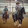 Stefanie Morris - @ttc_performancehorses - TikTok