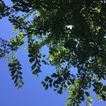 Stefanie Pearson - @st.efanie8338 - Instagram