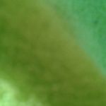 Stefanie Seitz - @seitz7224 - Instagram