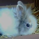Stefanie Seitz - @stefanie2222222222 - Instagram