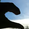 Stefanie seitz - @stefixoxo - TikTok
