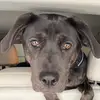 Stefanie Sims - @stefaniesims4 - TikTok