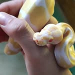 Stefano Corda - @stefano.corda.310703 - Instagram