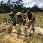 Stefano Giuliani - @steve.giuliani - Instagram