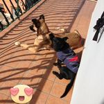 Stefano Grillo - @stefanodeigrillo - Instagram