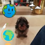 Stefano Grimaldi - @stefanogrimaldisv2 - Instagram