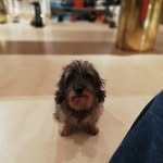 Stefano Grimaldi - @stefano.grimaldi.756412 - Instagram