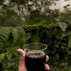 Stefano_Leeeeee - @stefano_leeee - TikTok