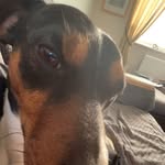 Steffan Jones - @steffanjones___ - Instagram