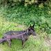 Stephen Thompson - Facebook