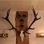 Steffen Freund - @steffen.freund.7798 - Instagram