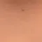 Steffen meyer - @steffan4564 - TikTok