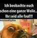 Steffen Werner - Facebook