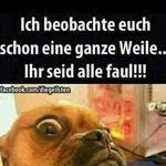 Steffen Werner - @steffenwerner81 - Instagram