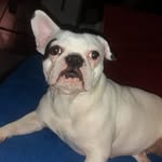 Steffen Wilhelm - @steffen.wilhelm.71 - Instagram
