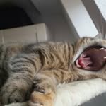 Steffi Huber - @steffi.huber.353 - Instagram