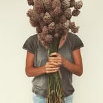 Steffi Huber - @brutalfloral - Instagram