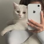 𝑆𝑡𝑒𝑙𝑙𝑎 𝐴𝑏𝑟𝑎𝑚𝑠 - @stella_4brams - Instagram