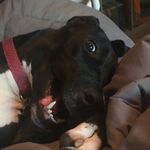 Stella - @stella_mae.abrams - Instagram
