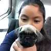 Stella🐶 - @stella_ballard - TikTok
