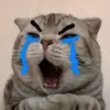 ố là la - @stellabaron10 - TikTok
