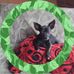Stella Baron - Facebook