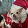Stella baron 🌼 - @stella.baron03 - TikTok