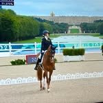 Stella Barton - @stella_barton_para_equestrian_ - Instagram