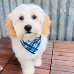 Stella bauer - @stella220954 - Instagram