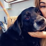 stellar stella - @_stellabauer - Instagram