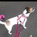 Stella Baumann - Facebook