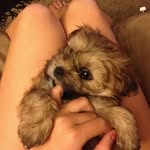 Stella Baumann - @stella663736 - Instagram