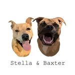 Stella & Baxter - @just3rescuepups - Instagram