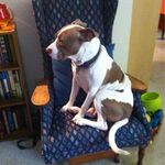 Stella Bird - @tmweber59 - Instagram