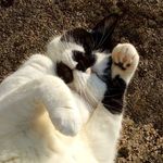 Stella Bird - @stella.bird15 - Instagram