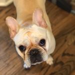 Stella Bird - @stellabird123 - Instagram
