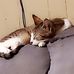 Stella Bishop - Facebook