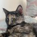 Stella Bishop - Facebook