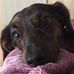 Stella Blackwell - Facebook