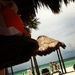 Stella - @stellaiblackwell - Instagram