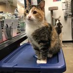 Stella Blair - @stella_in_phila - Instagram