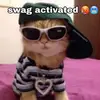 stella blair😎 - @june182008 - TikTok