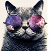 stella.blair - @stella.blair - TikTok