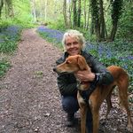 Stella Bolton - @stellabolt66 - Instagram