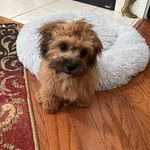 Stella!💕 - @stella_bonds22 - Instagram